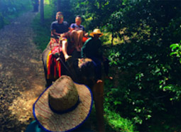 Khao Lak Around : Nature Around เขาหลัก 4 วัน 3 คืน