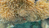 Khao Lak Around : Nature Around เขาหลัก 4 วัน 3 คืน