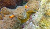 Khao Lak Around : Nature Around เขาหลัก 4 วัน 3 คืน