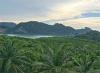 The Hidden: แหลมสัก อ่าวลึก