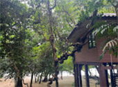Khao Lak Around : Nature Around เขาหลัก 4 วัน 3 คืน
