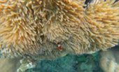 Variety in Phang Nga Package for Long Holiday
