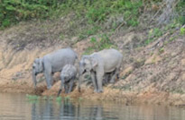 4 วัน 3 คืน เขาสก เขื่อน ป่า ธรรมชาติ สุราษฏร์ธานี