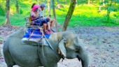 4 วัน 3 คืน เขาสก เขื่อน ป่า ธรรมชาติ สุราษฏร์ธานี