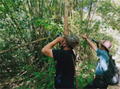 The Forest Breath: ประสบการณ์ สัมผัสป่า