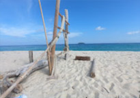 Lipe Concerns: สวยสุดที่น้ำตื้น เกาะหลีเป๊ะ