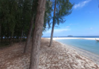 Lipe Concerns: สวยสุดที่น้ำตื้น เกาะหลีเป๊ะ