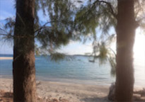 Lipe Concerns: สวยสุดที่น้ำตื้น เกาะหลีเป๊ะ