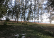 Lipe Concerns: สวยสุดที่น้ำตื้น เกาะหลีเป๊ะ