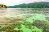 Historical Archipelago: ดึกดำบรรพ์ - สร้างสรรค์ 4 วัน 3 คืน ตะรุเตา อาดัง ราวี 