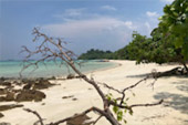 Historical Archipelago: ดึกดำบรรพ์ - สร้างสรรค์ 4 วัน 3 คืน ตะรุเตา อาดัง ราวี 