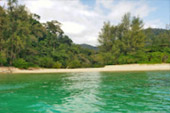 Lipe Concerns: สวยสุดที่น้ำตื้น เกาะหลีเป๊ะ