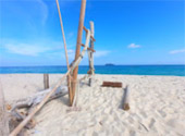 Fostering getaway: เกาะหลีเป๊ะ 3 วัน 2 คืน