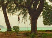 Fostering getaway: เกาะหลีเป๊ะ 3 วัน 2 คืน