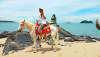 เกาะหลีเป๊ะ หาดใหญ่ 3 วัน 2 คืน