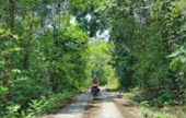 Historical Archipelago: ดึกดำบรรพ์ - สร้างสรรค์ 4 วัน 3 คืน ตะรุเตา อาดัง ราวี 