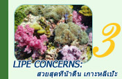 Lipe Concerns: สวยสุดที่น้ำตื้น เกาะหลีเป๊ะ