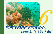 Fostering getaway: เกาะหลีเป๊ะ 3 วัน 2 คืน