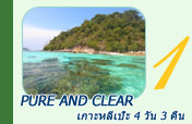 Pure and Clear  เกาะหลีเป๊ะ 4 วัน 3 คืน
