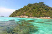 Pure and Clear  เกาะหลีเป๊ะ 4 วัน 3 คืน