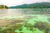 Pure and Clear  เกาะหลีเป๊ะ 4 วัน 3 คืน