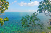 Pure and Clear  เกาะหลีเป๊ะ 4 วัน 3 คืน