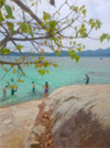 Pure and Clear  เกาะหลีเป๊ะ 4 วัน 3 คืน