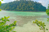 Pure and Clear  เกาะหลีเป๊ะ 4 วัน 3 คืน