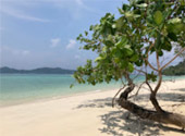 Quicksand Beach: หลีเป๊ะ 3 วัน 2 คืน