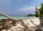Quicksand Beach: หลีเป๊ะ 3 วัน 2 คืน