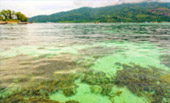 Radiate 4 คืน 5 วัน :หาดใหญ่ เบตง หลีเป๊ะ