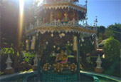 Flowers on Hight 1600