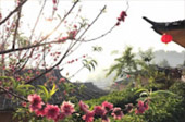 บ้านรักไทย: Fog Village 3 วัน 2 คืน