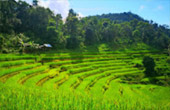 Kimberlite Line: แม่ฮ่องสอน 4 วัน
