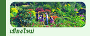 ทริปท่องเที่ยวเชียงใหม่