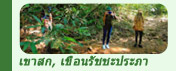 ทริปท่องเที่ยวเขาสก