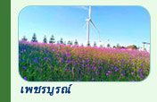 ทริปท่องเที่ยวเพชรบูรณ์