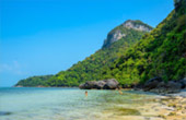 ติดเกาะ 65 ชั่วโมง เกาะพะลวย - หมู่เกาะอ่างทอง