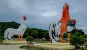 Connecting Program: 4 วัน 3 คืน