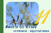ติดเกาะ 65 ชั่วโมง เกาะพะลวย - หมู่เกาะอ่างทอง