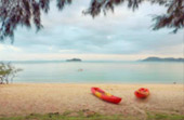 ติดเกาะ 65 ชั่วโมง เกาะพะลวย - หมู่เกาะอ่างทอง