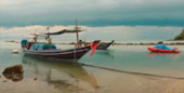 A pristine island: เกาะพะลวย