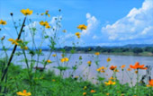 ORT เกลือ น้ำตาล น้ำ ค้นพบ สำรวจให้ตะลึง เขาค้อ เชียงคาน 3 วัน 2 คืน