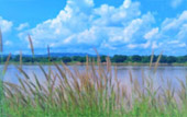 ORT เกลือ น้ำตาล น้ำ ค้นพบ สำรวจให้ตะลึง เขาค้อ เชียงคาน 3 วัน 2 คืน