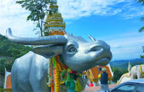 ORT เกลือ น้ำตาล น้ำ ค้นพบ สำรวจให้ตะลึง เขาค้อ เชียงคาน 3 วัน 2 คืน