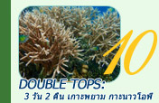 Double Tops: 3 วัน 2 คืน เกาะพยาม กาะนาวโอพี