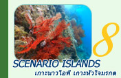 Scenario Islands เกาะนาวโอพี เกาะหัวใจมรกต