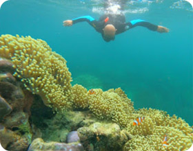 Thai Islands เกาะสุรินทร์ ระนอง ทะเลไทย 3 วัน 2 คืน