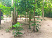 Off the Beaten Path: 4 วัน 3 คืน
