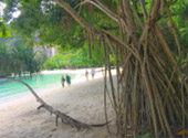 Off the Beaten Path: 4 วัน 3 คืน